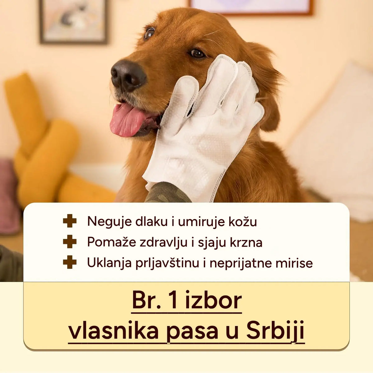 Rukavice za čišćenje ljubimca