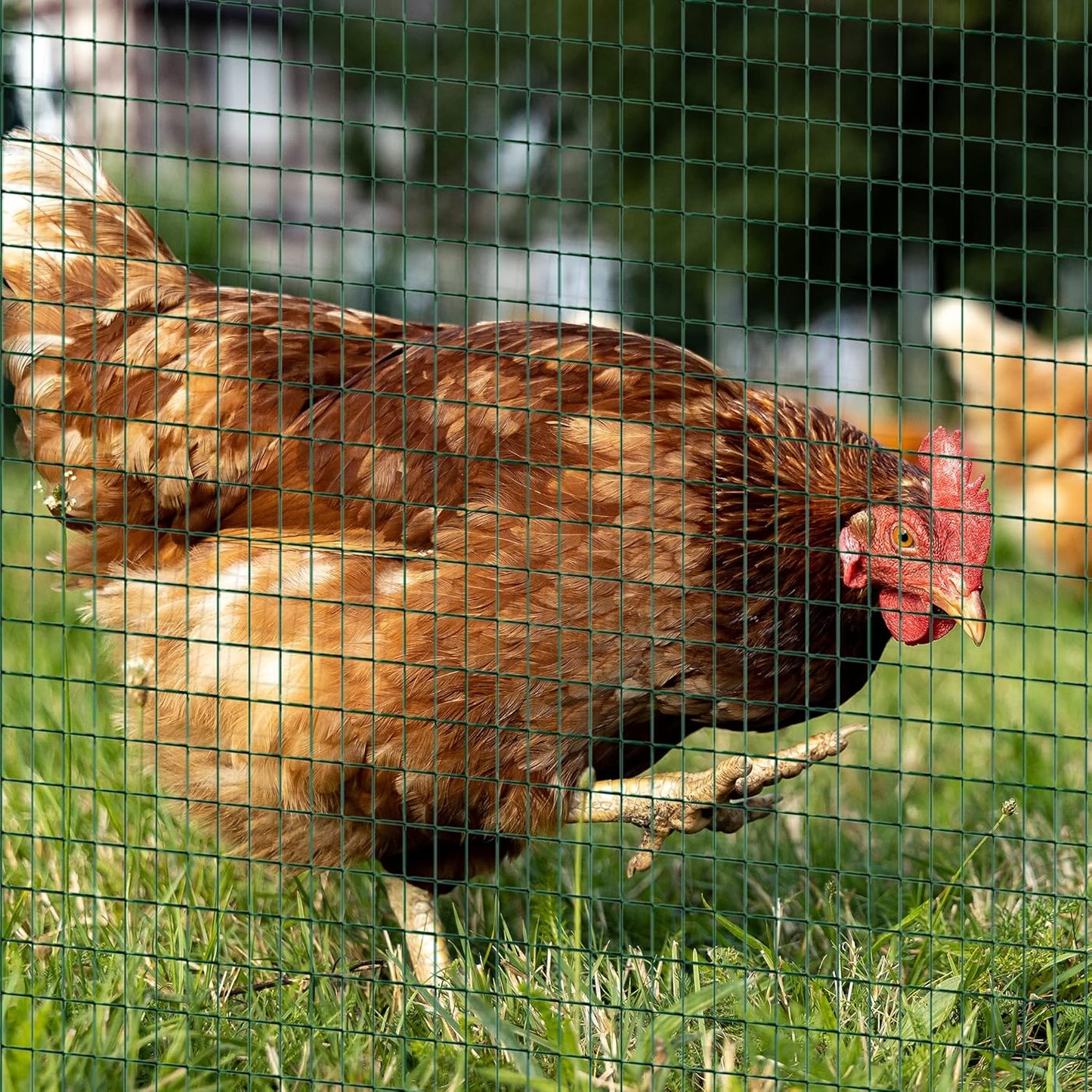 METALNA ZELENA OGRADA -25Mx1.5M