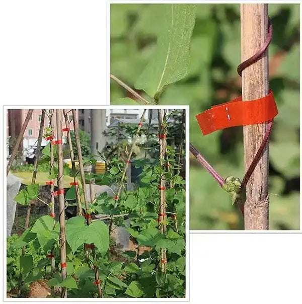 Mašinica za vezivanje voća i loze