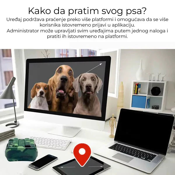 Lokator za lovačke pse - Tracker za pse IK122T 4G GPS