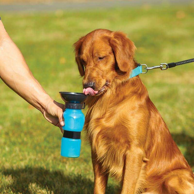 Flaša za vodu za pse 0.5l Sigurna kupovina online shop